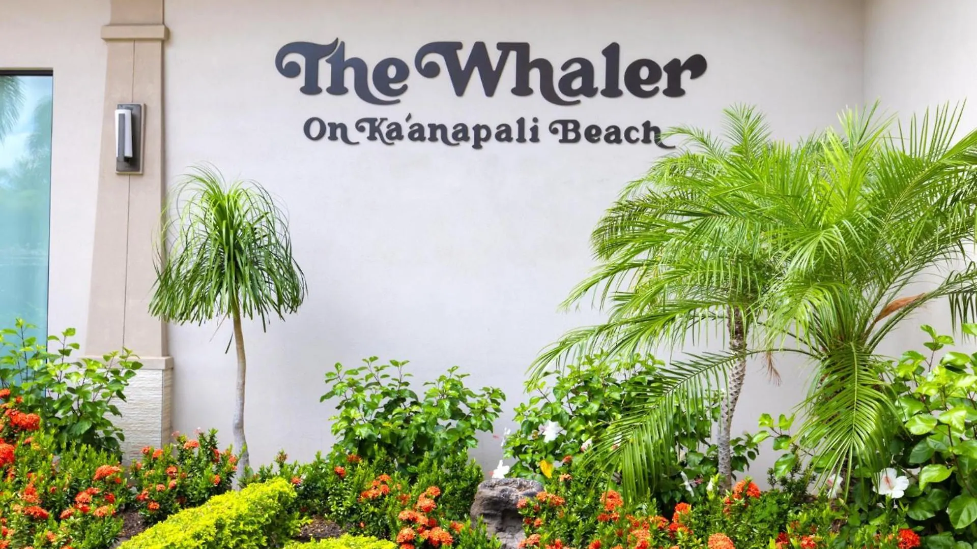Appartement Kbm Resorts Free Car The Whaler Ocean View Studio With Stunning Sunset Wh1-1218 Kaanapali