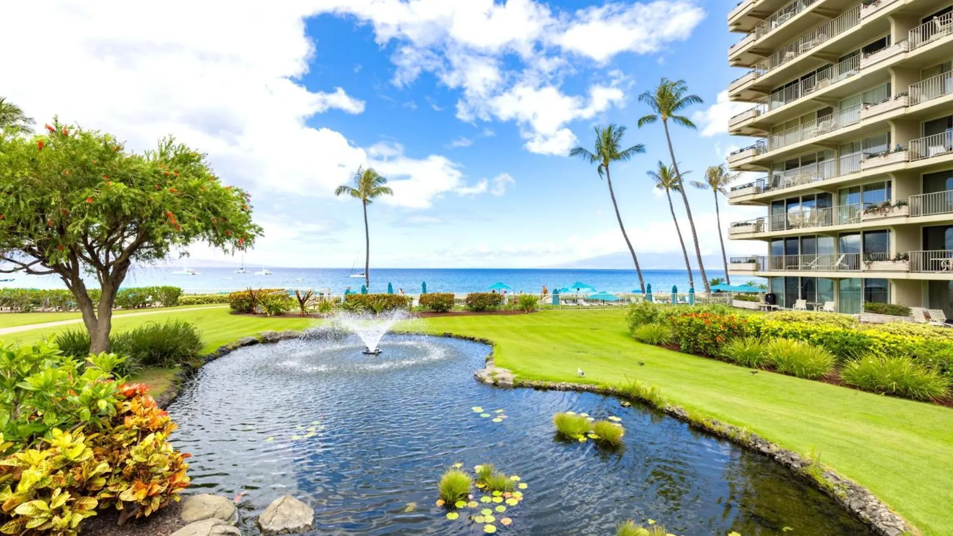 Kbm Resorts Free Car The Whaler Ocean View Studio With Stunning Sunset Wh1-1218 Kaanapali Verenigde Staten
